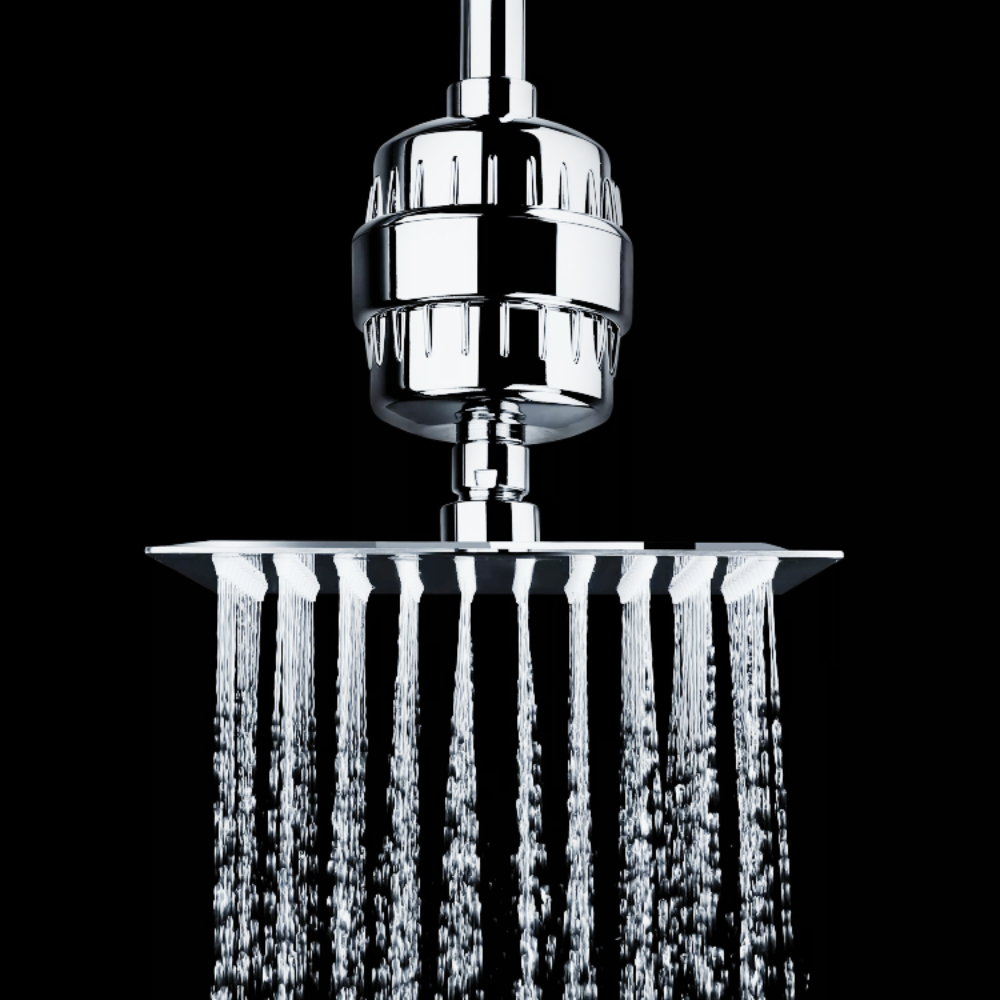 Shower Filter