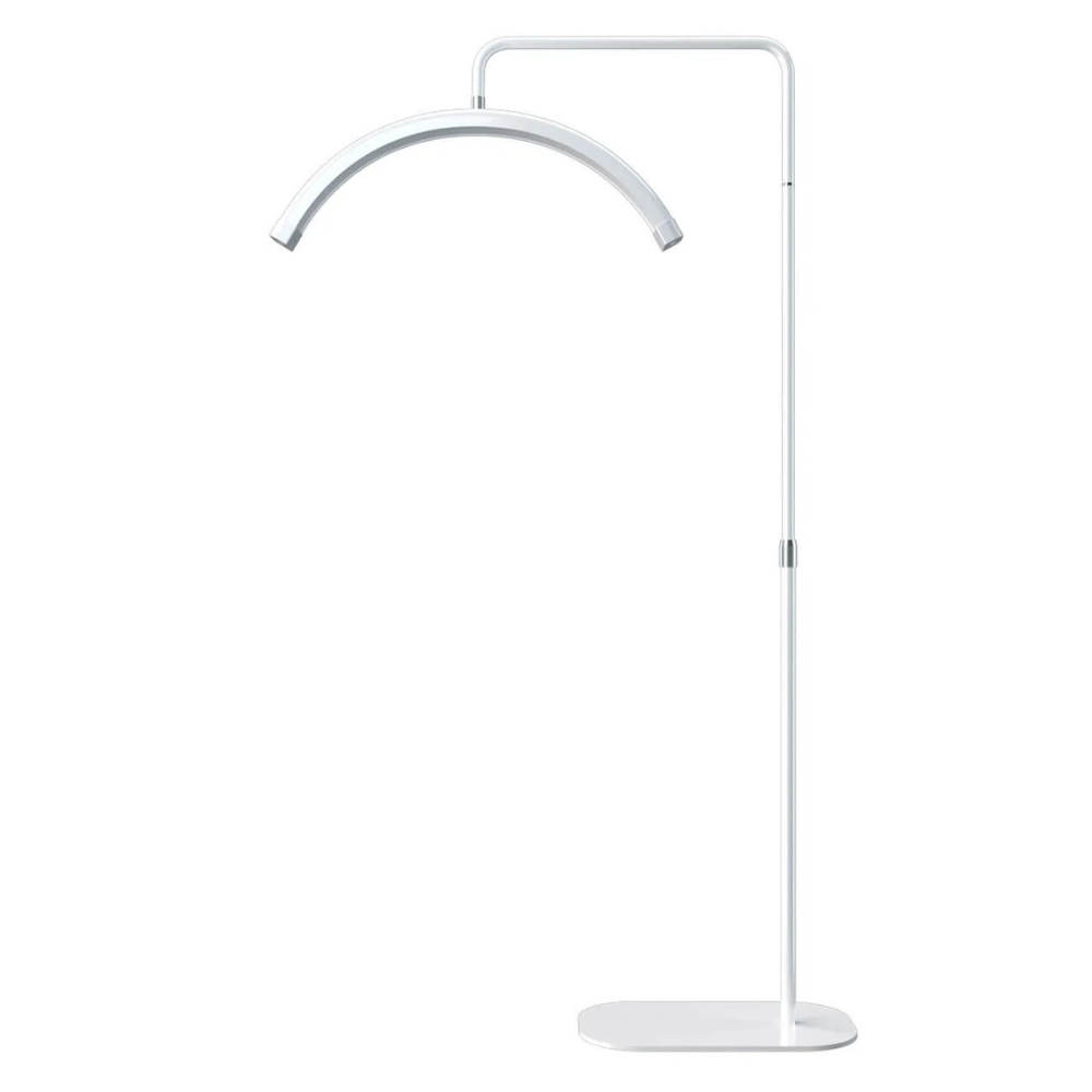 LED Half Moon Light Stand