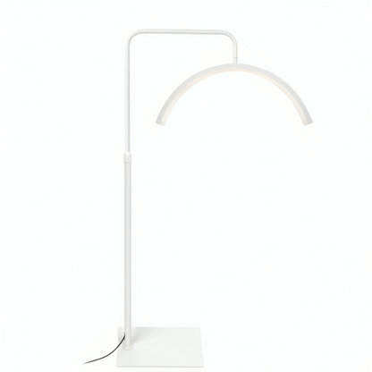LED Half Moon Light Stand