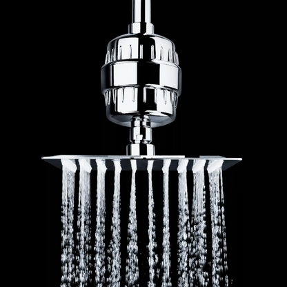 Shower Filter