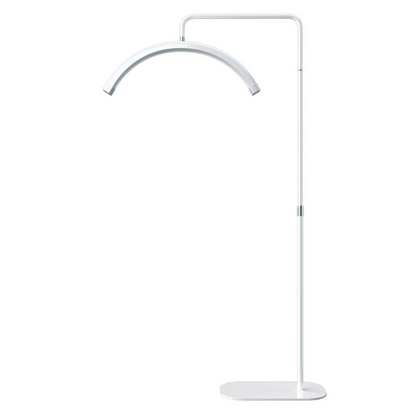 LED Half Moon Light Stand